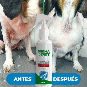 DermaPet- Adiós a la sarna + Envió Gratis