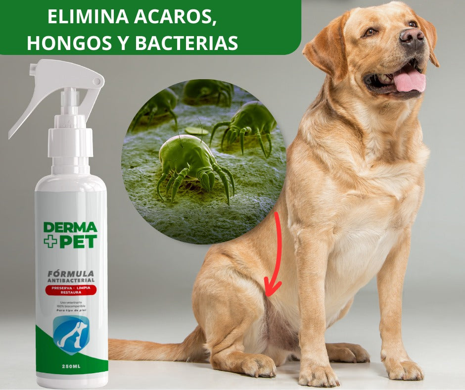 DermaPet- Adiós a la sarna + Envió Gratis