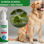 DermaPet- Adiós a la sarna + Envió Gratis